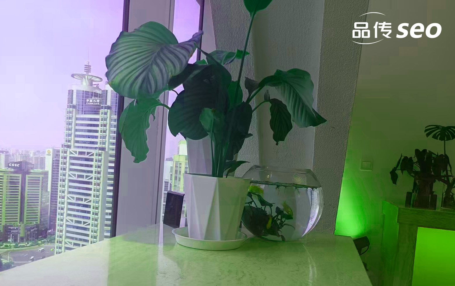 科技创业公司